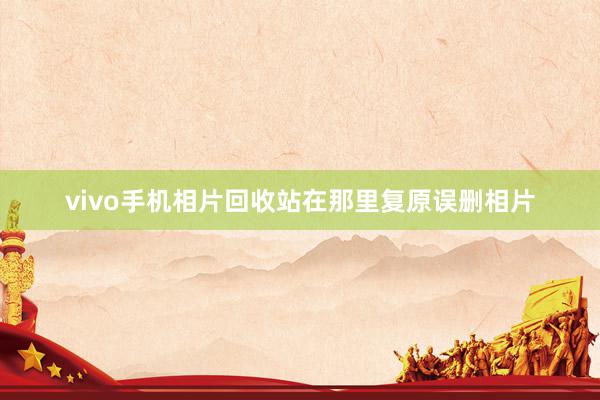 vivo手机相片回收站在那里复原误删相片