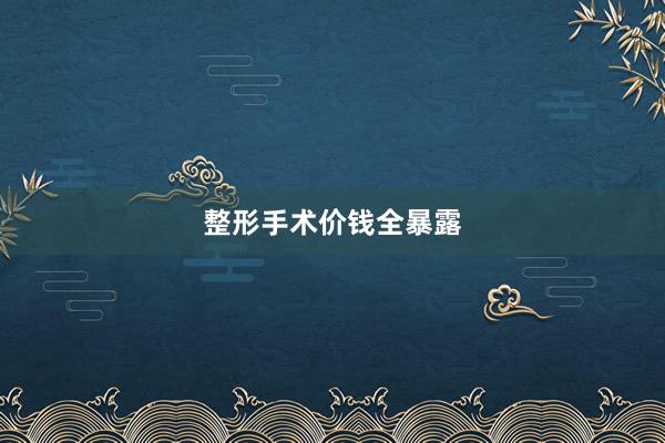 整形手术价钱全暴露