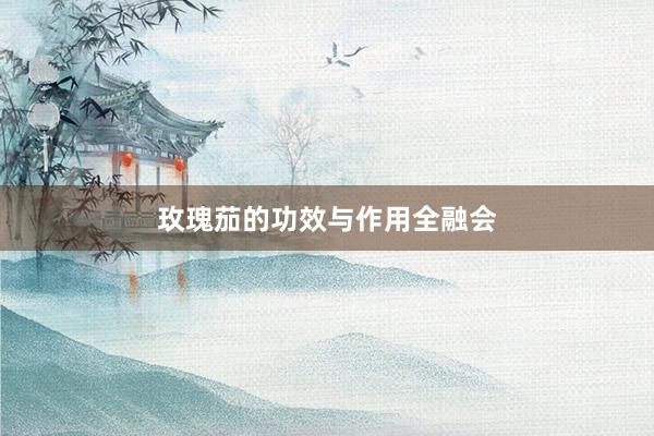 玫瑰茄的功效与作用全融会