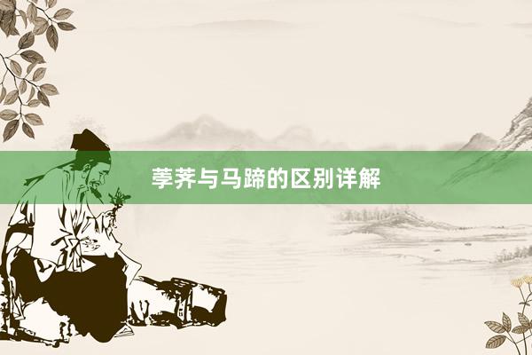 荸荠与马蹄的区别详解