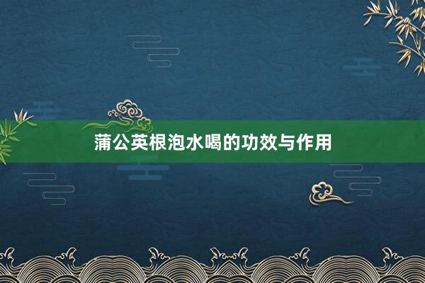 蒲公英根泡水喝的功效与作用